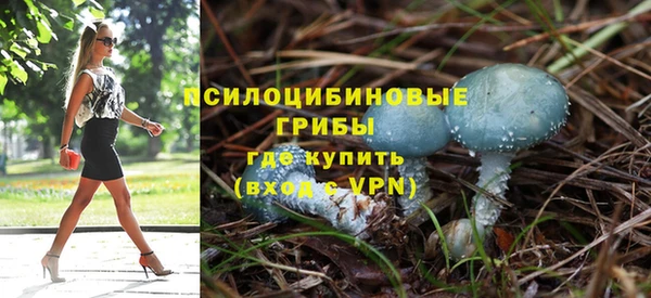 соль ск Арсеньев