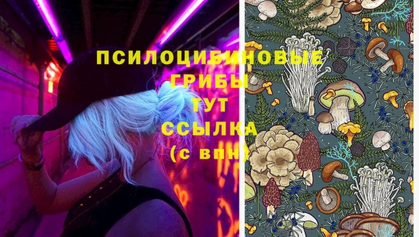 соль ск Арсеньев